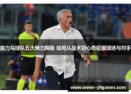 魔力鸟球队五大魅力揭秘 如何从战术到心态征服球迷与对手